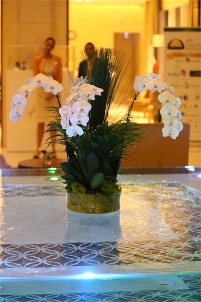 Salsa Night at Eastern Mangroves Hotel and Spa by Anantara